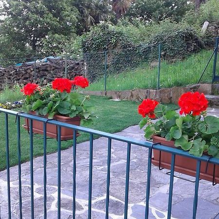 Vanni'S House Cannobio Exterior foto